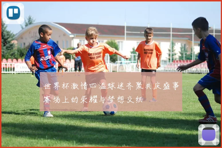 世界杯激情四溢球迷齐聚共庆盛事赛场上的荣耀与梦想交织