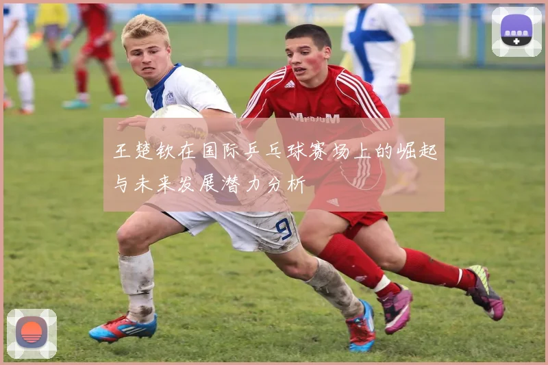 王楚钦在国际乒乓球赛场上的崛起与未来发展潜力分析
