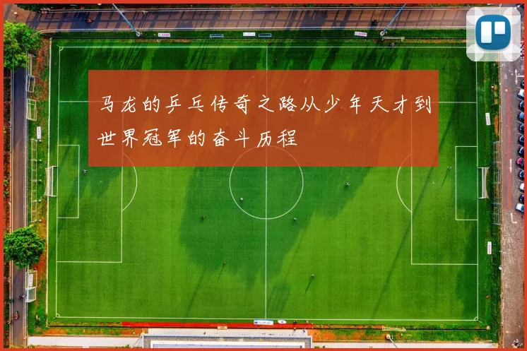 马龙的乒乓传奇之路从少年天才到世界冠军的奋斗历程