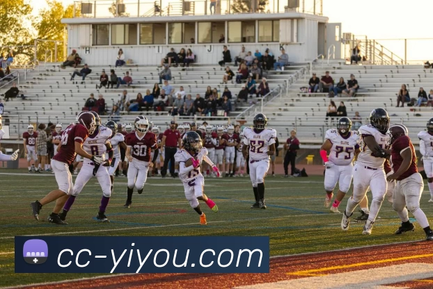 易游APP 高清赛事图